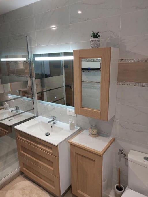 Souvenirs De Provence, Charmant Appartement Neuf 3 Etoiles Динь-ле-Бен Экстерьер фото